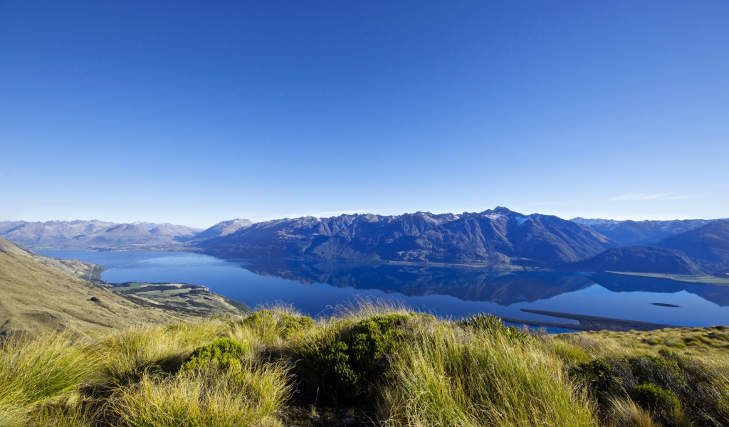 Суровая дикая природа