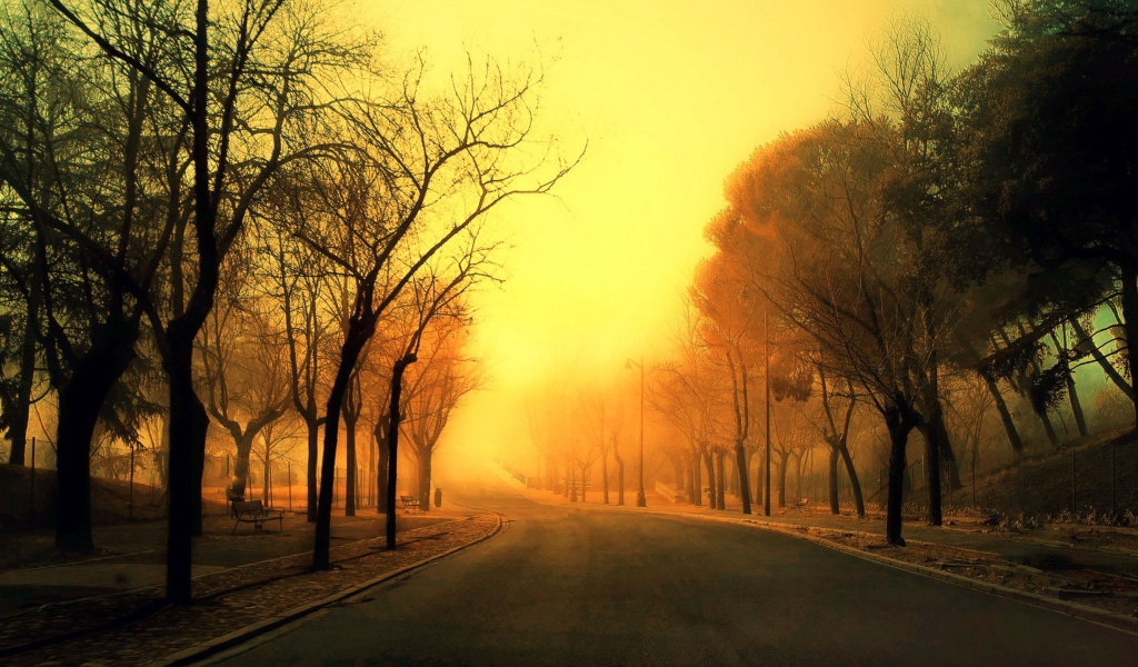 Дорога уходит в оранжевую дымку