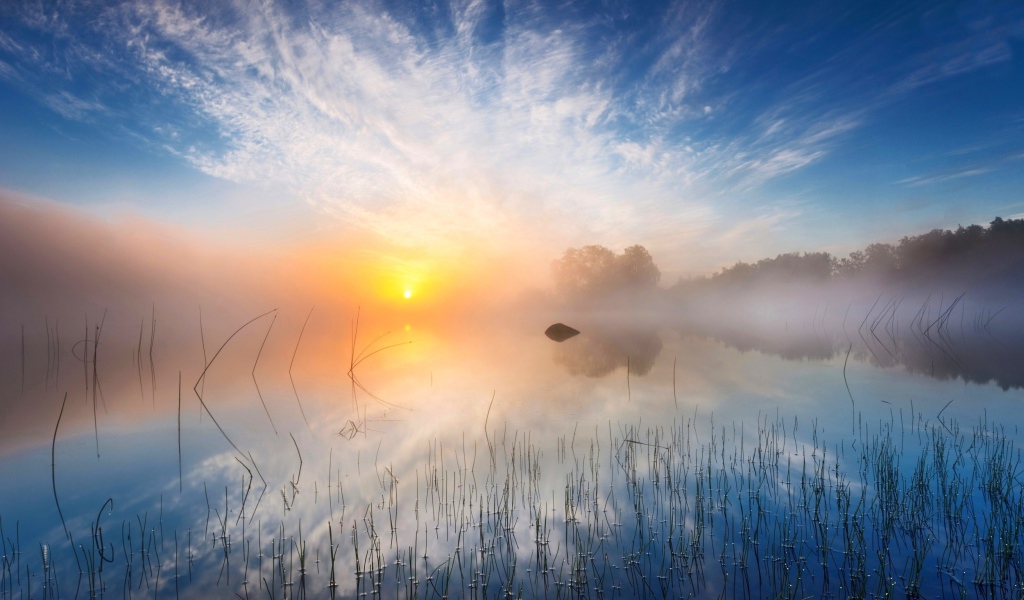 Желтое солнце в утреннем тумане