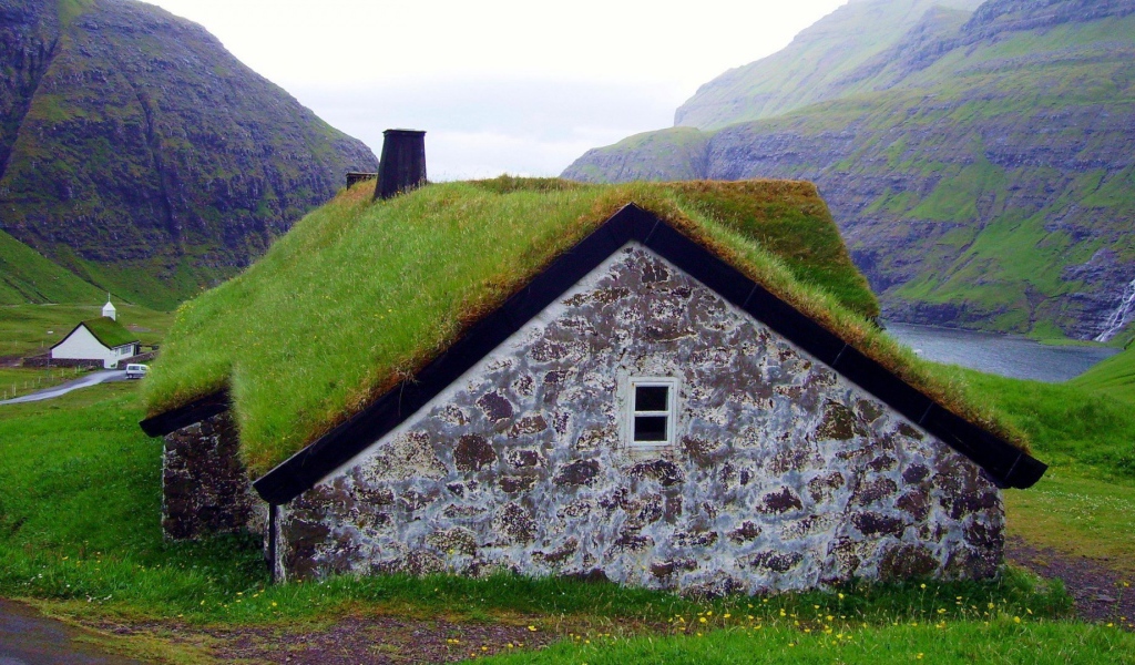 Густая трава на крыше сарая