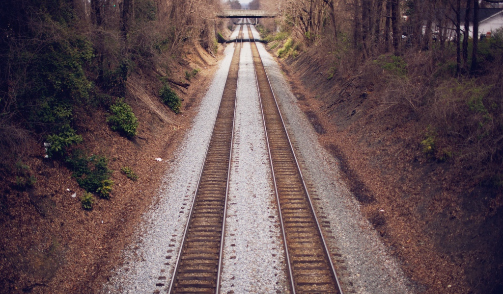 Два пути железной дороги между деревьями