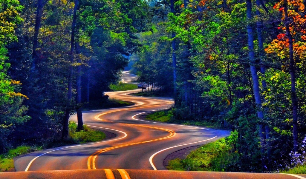 Извилистое шоссе среди леса