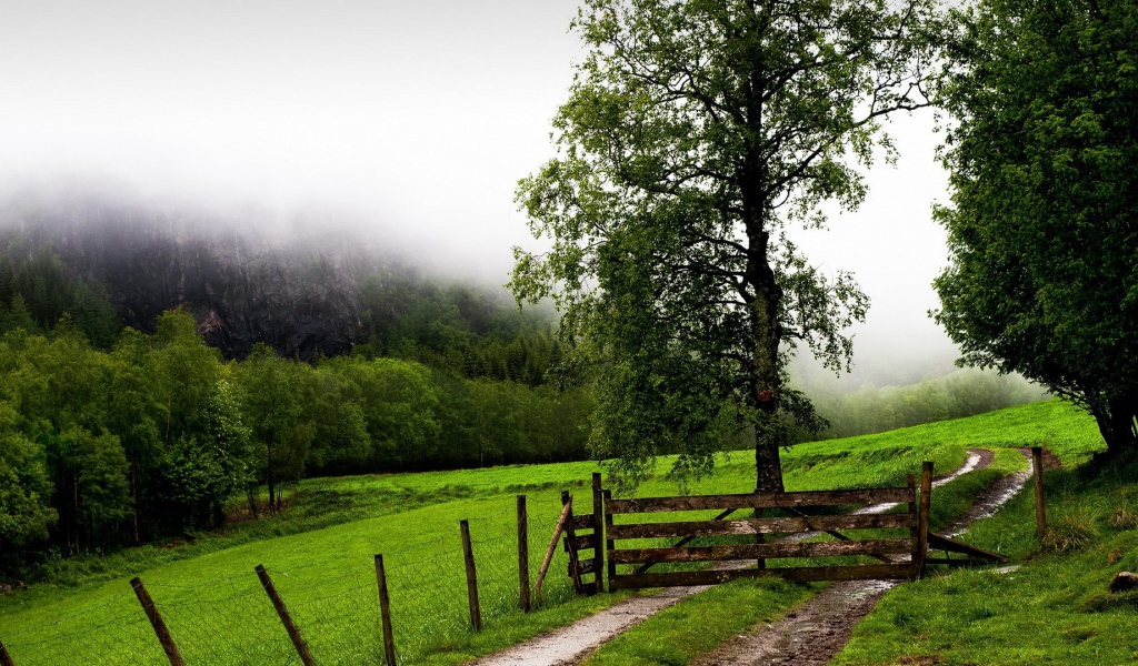 Деревянная преграда на тропе