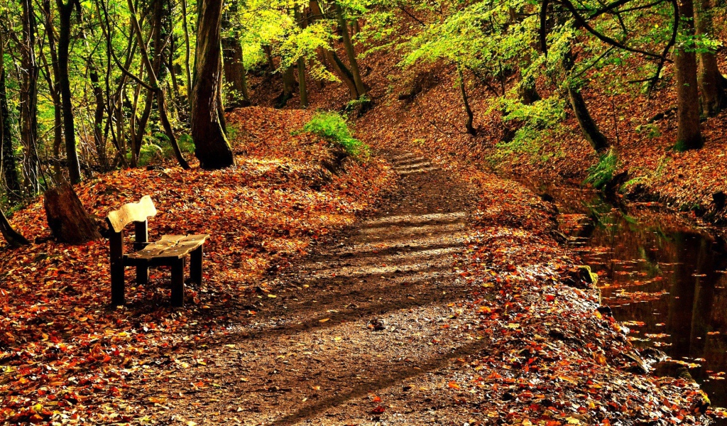 Деревянная скамья на усыпанной листьями аллее