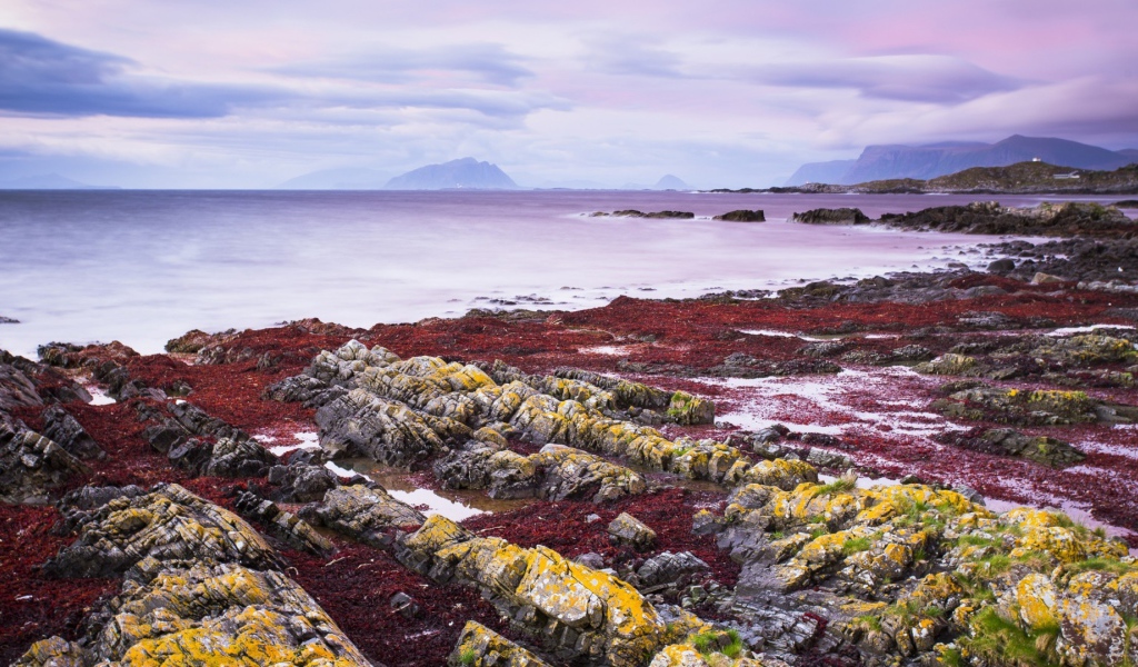 Желтые камни на берегу моря