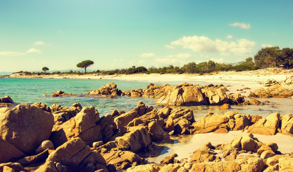 Коричневые камни и скалы на берегу моря