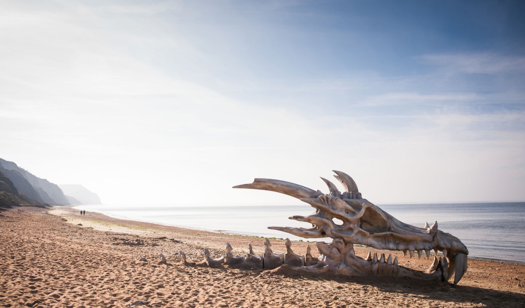 Череп дракона на пляже