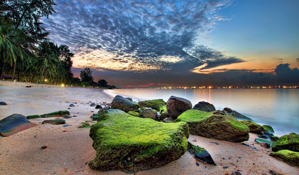 Зеленые камни на песке пляжа