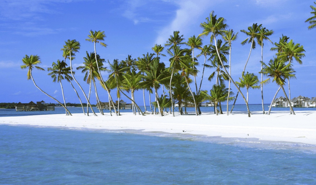 Пальмы на белоснежном песке