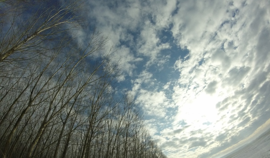 Облака в весеннем небе