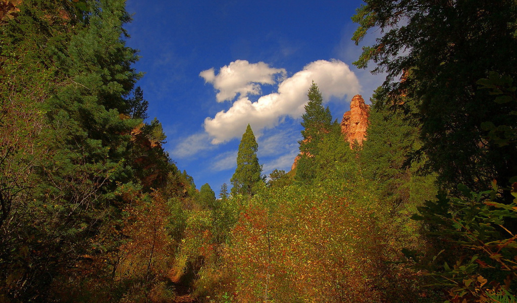 Кусок синего неба