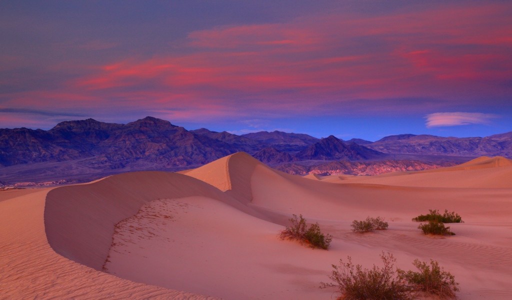 Пустыня розового цвета