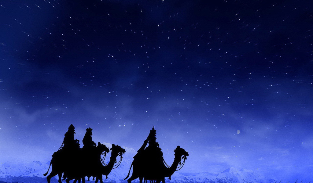 Наездники на верблюдах