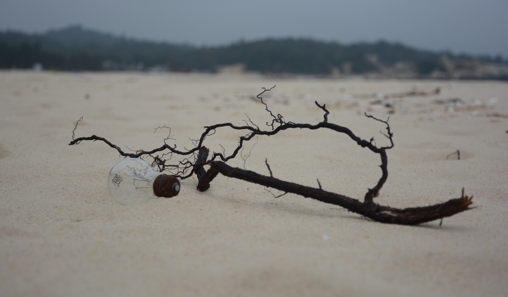 Черная ветка на белом песке