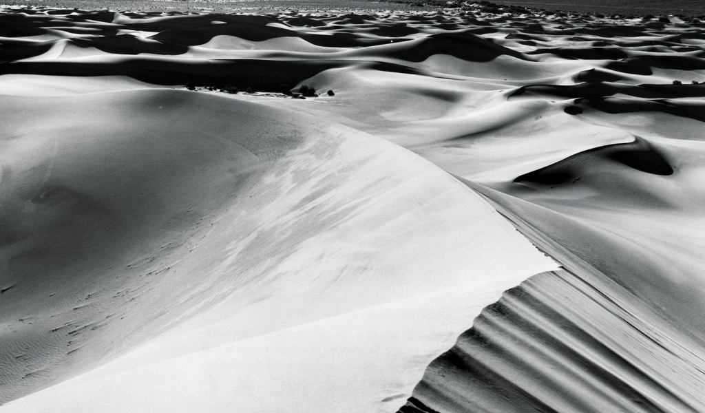 Барханы в пустыне