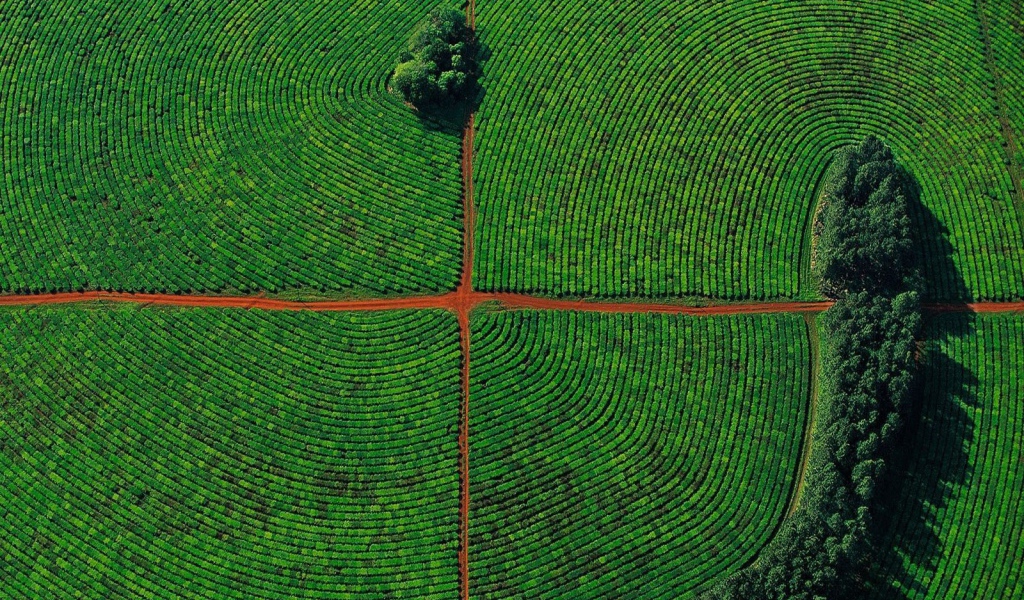 Красивое фото поля с высоты