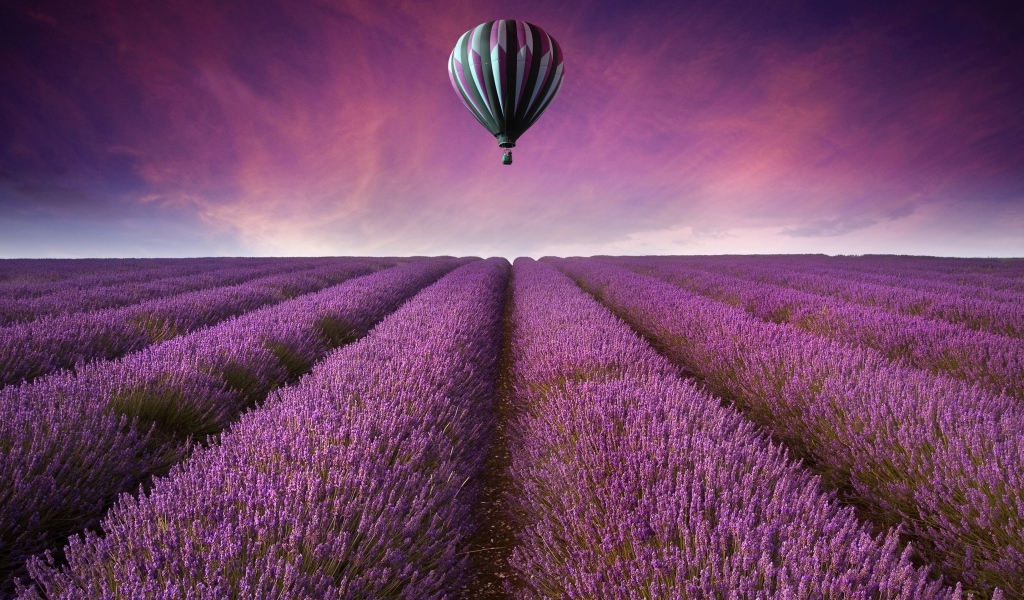Воздушный шар над лавандовым полем