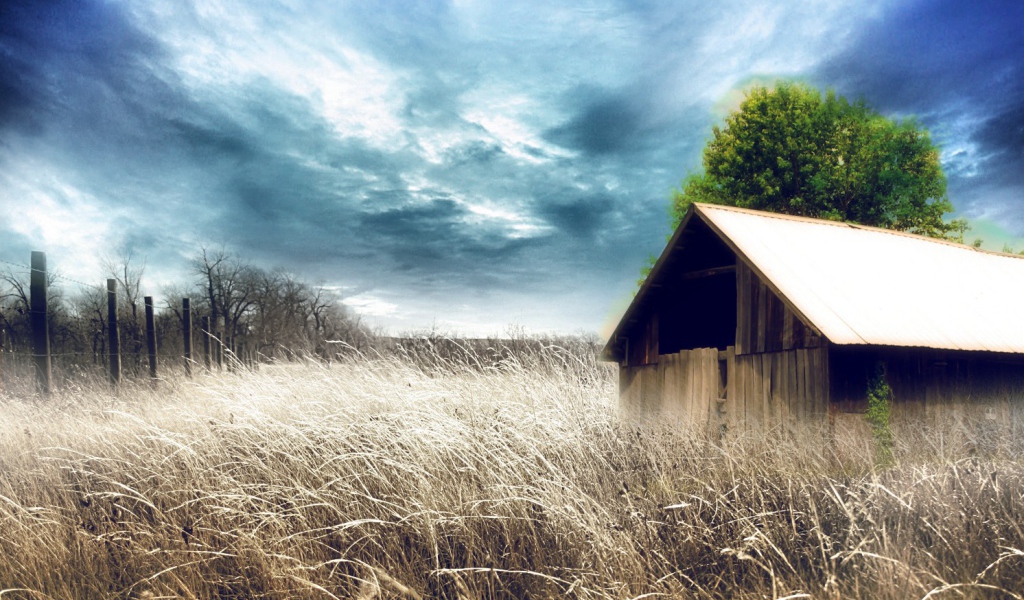 Сарай среди сухих зарослей