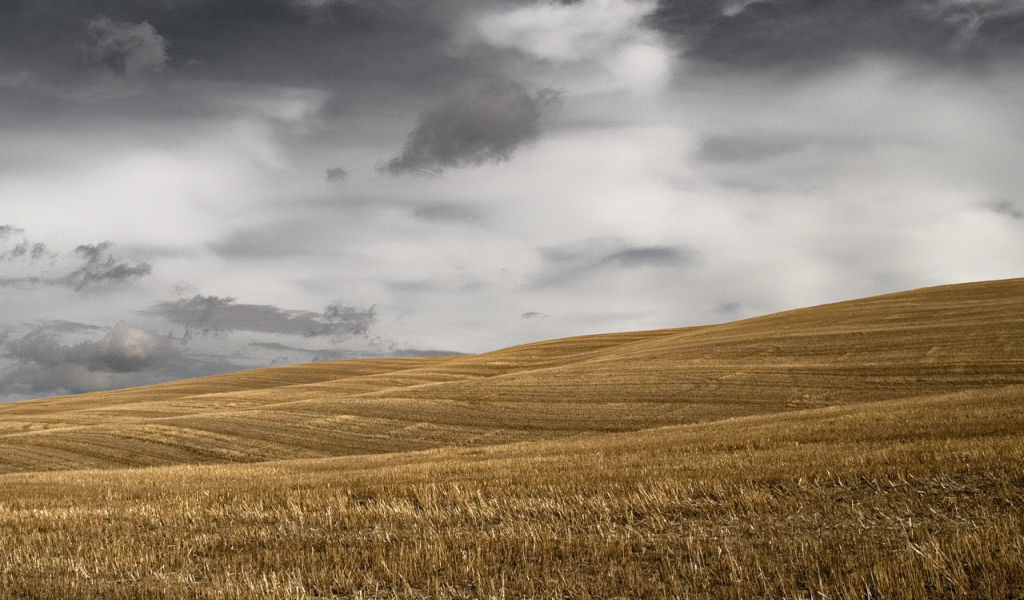 Темное небо над скошенным полем