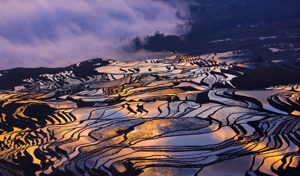 Залитые водой рисовые поля
