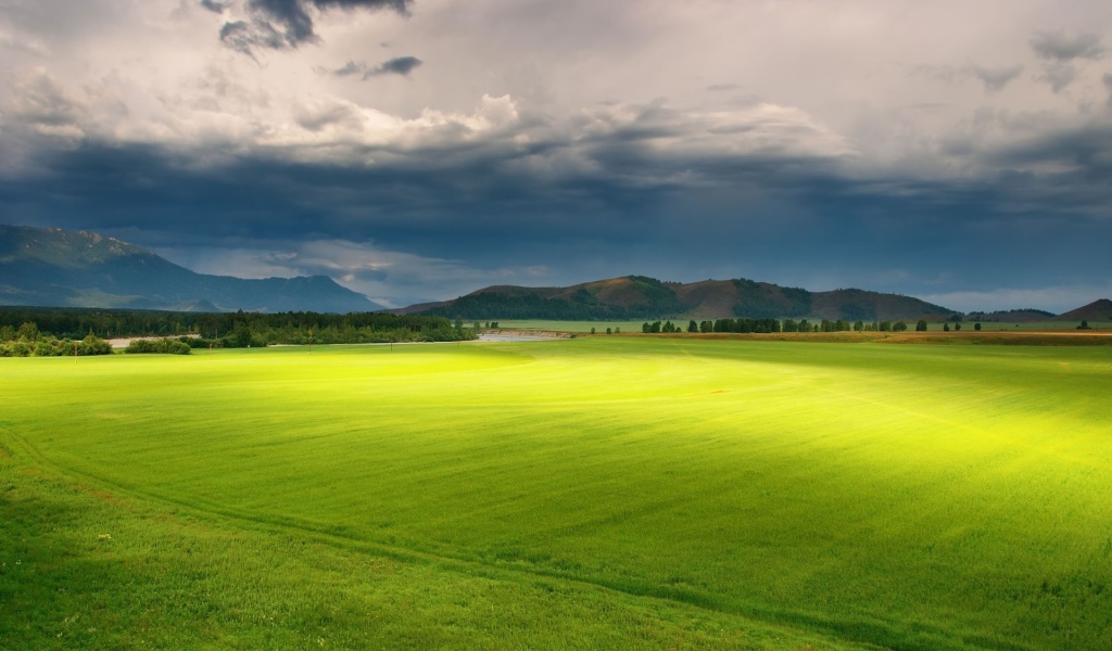 Полет над зеленой равниной