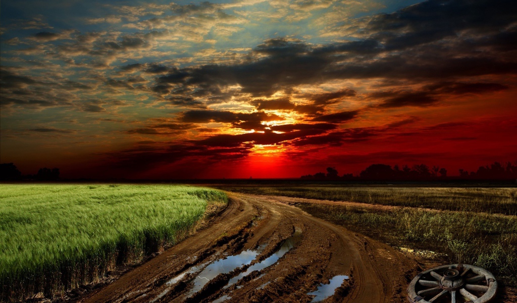 Размытая грунтовая дорога на краю поля