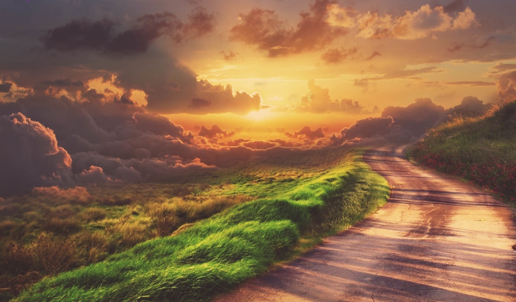 Зеленая трава у обочины дороги на закате