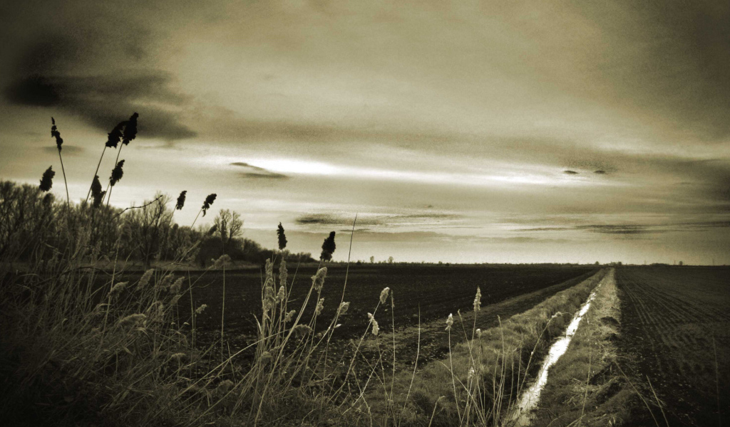 Оросительный канал