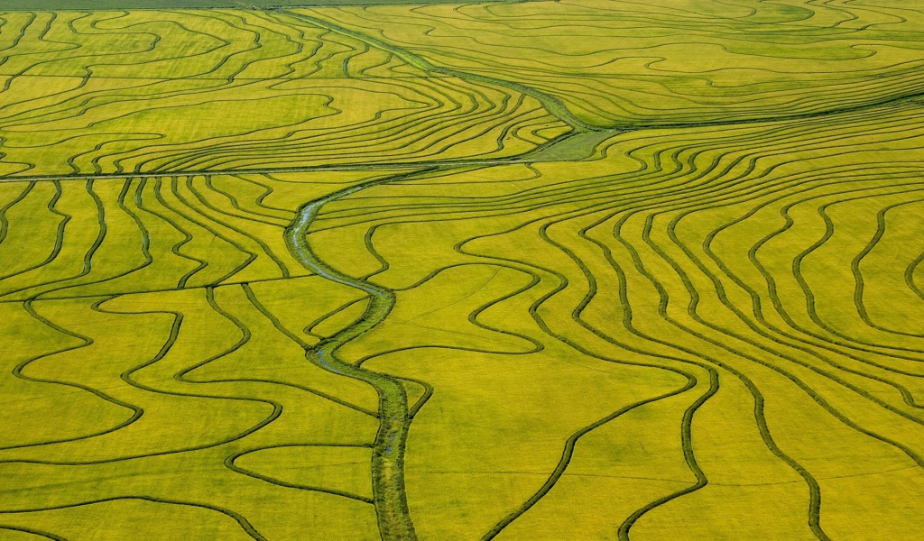 Оросительные каналы на поле необычной формы