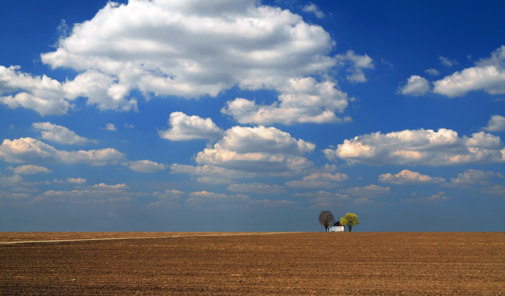 Одинокое строение среди вспаханного поля