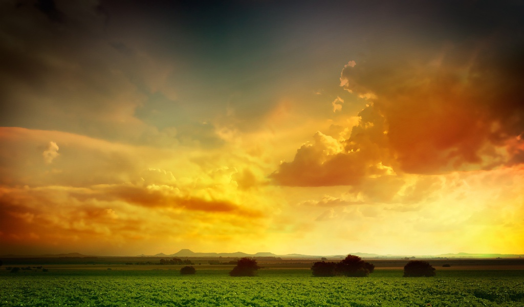 Оранжевое небо над зеленым полем