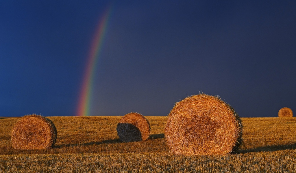 Радуга позади убранного поля