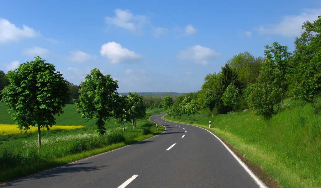 Ровная дорога среди полей в Украине