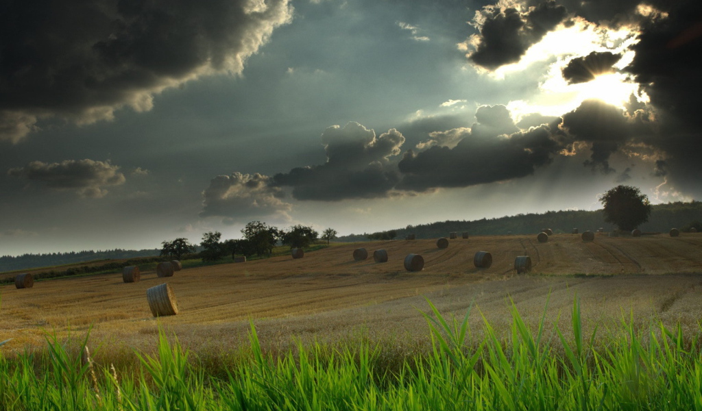 Грозовые тучи над полем