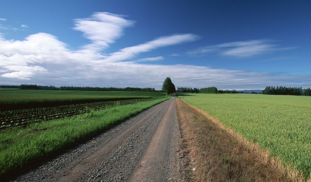 Прямая грунтовая дорога