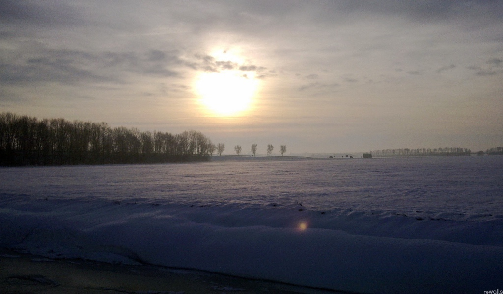 Заметенное снегом поле