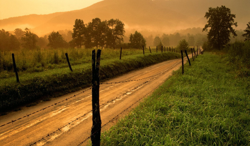 Дорога за колючей проволокой