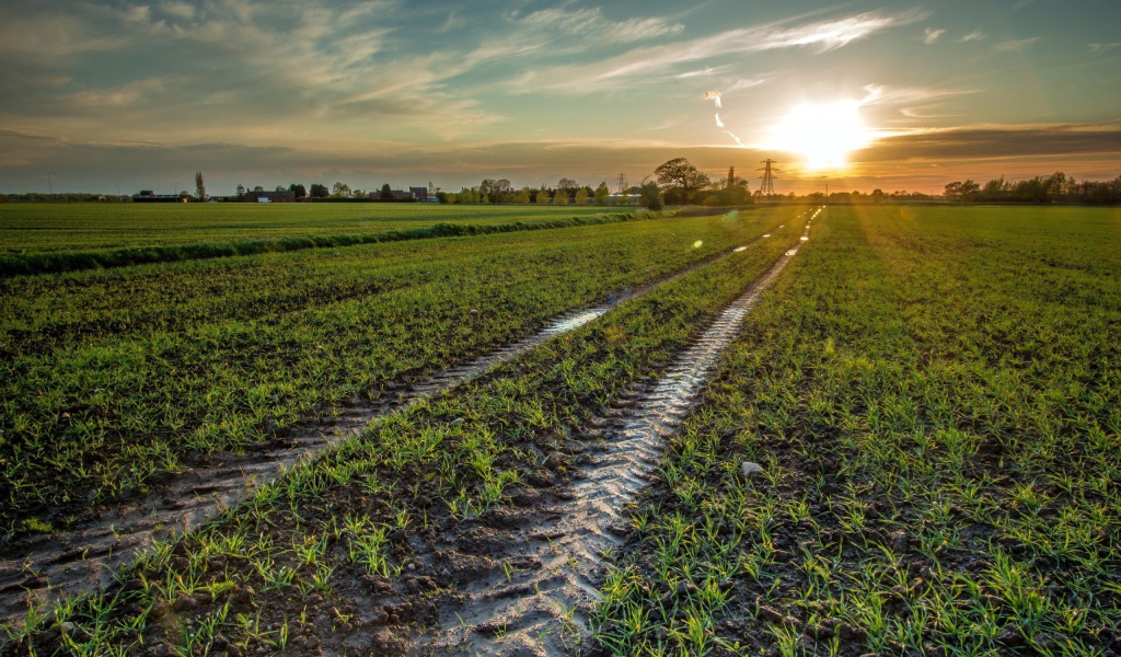 След трактора в поле