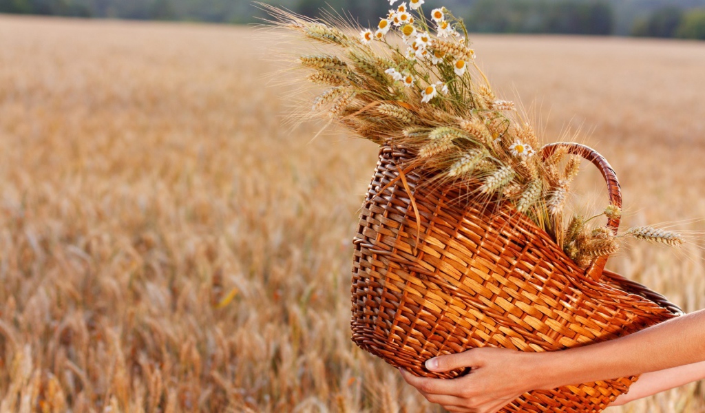 Плетеная корзина с колосками и полевыми цветами