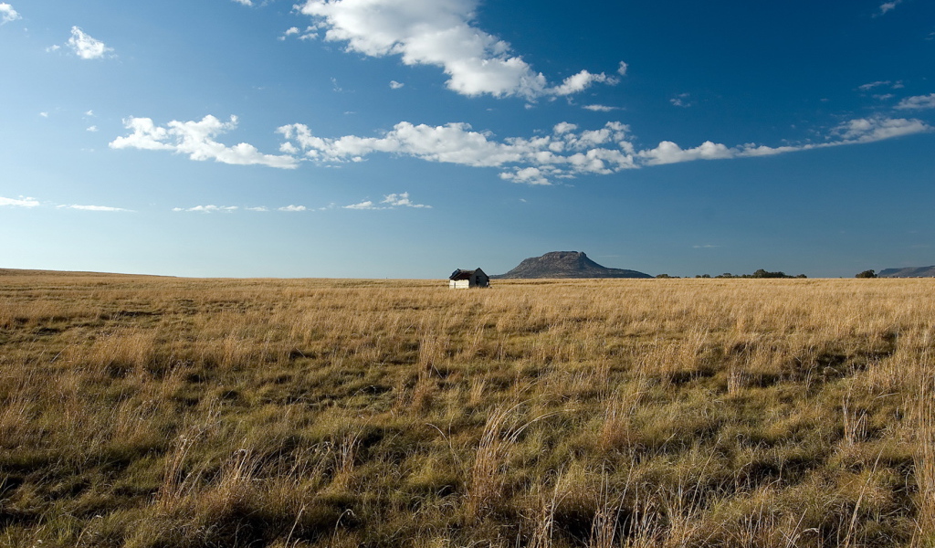 Одинокий дом посередине поля