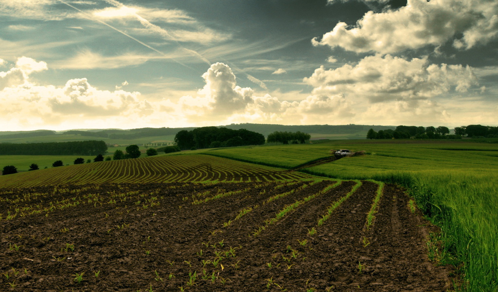 Перепаханное поле