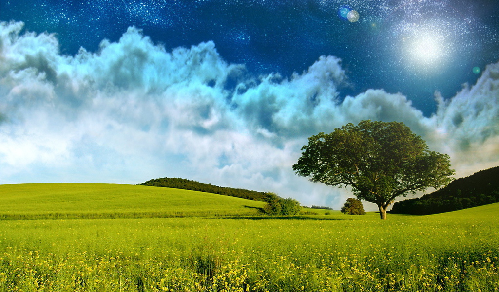 Поле и звездное небо