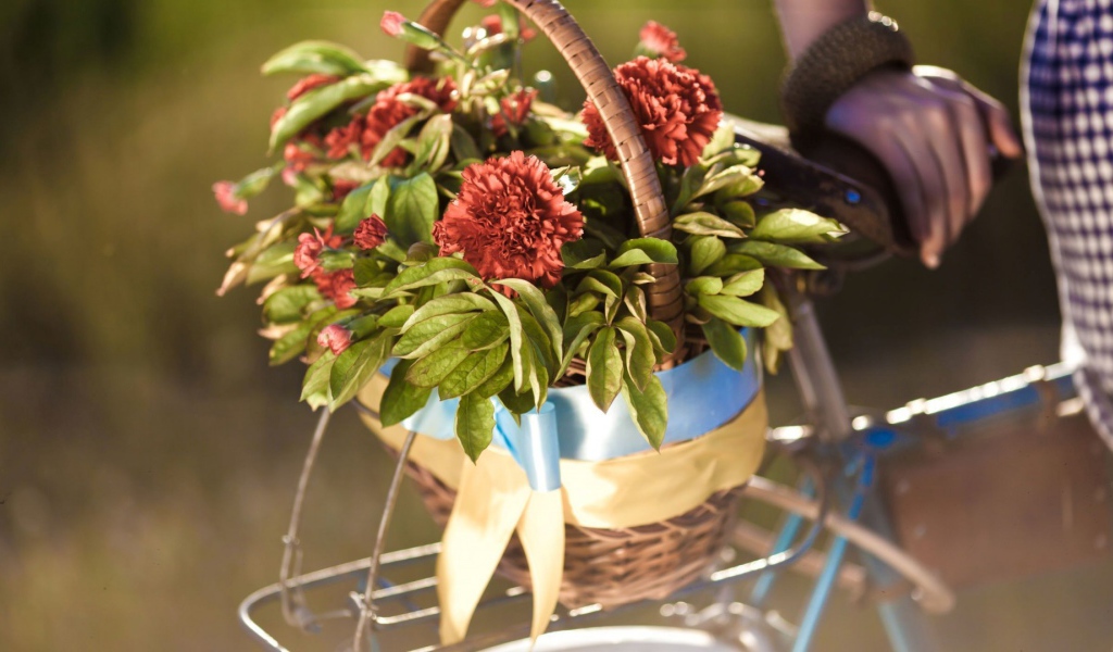 Корзина цветов на багажнике велосипеда