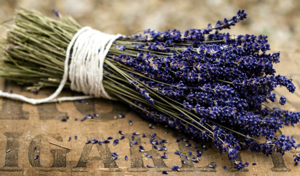 Букет цветов лаванды