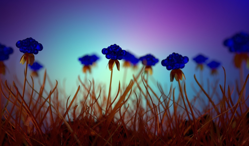 Засохшие голубые цветы