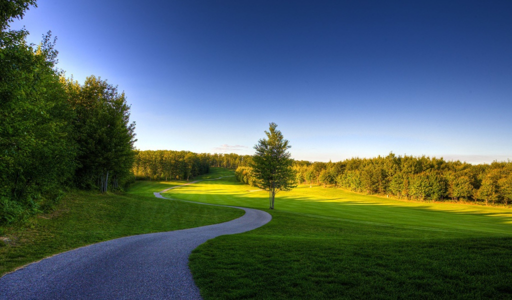 Извилистая дорожка в лесу