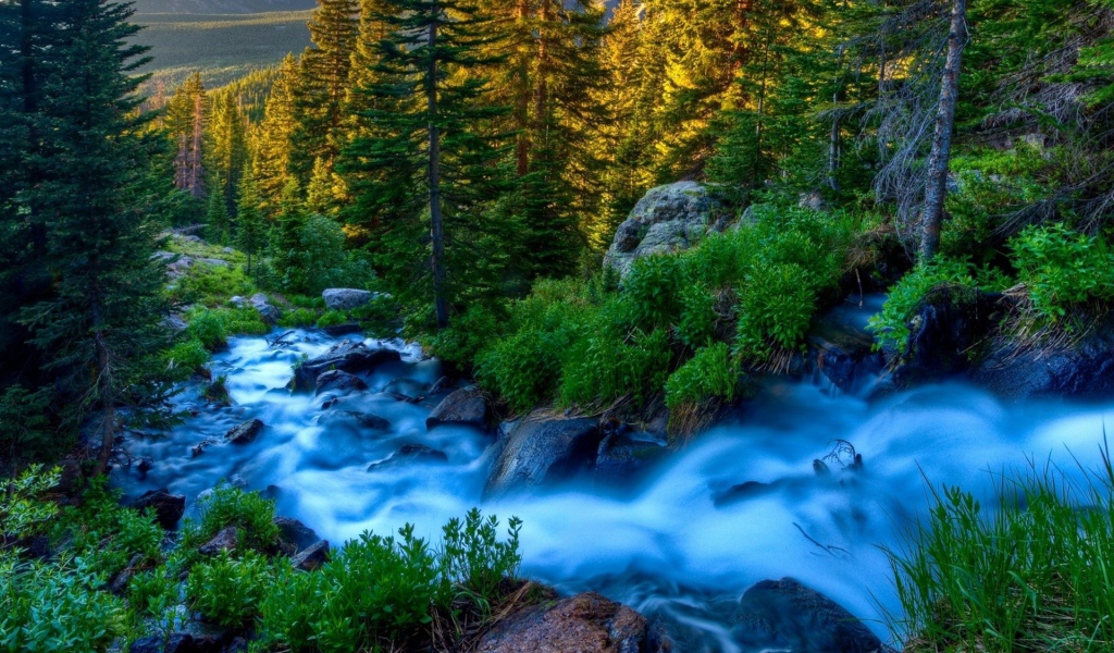 Голубой ручей среди горного леса