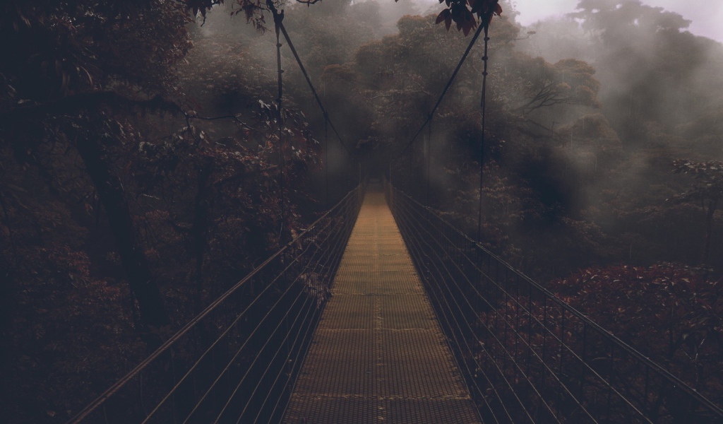 Мост в мрачный лес
