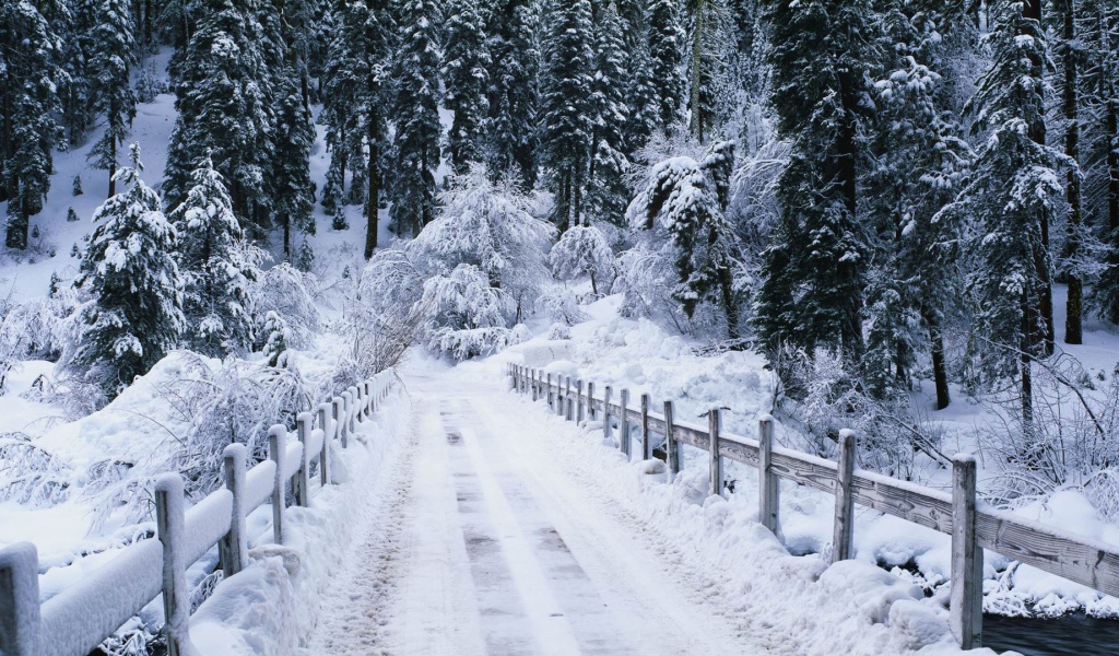 Мост перед лесом усыпан снегом