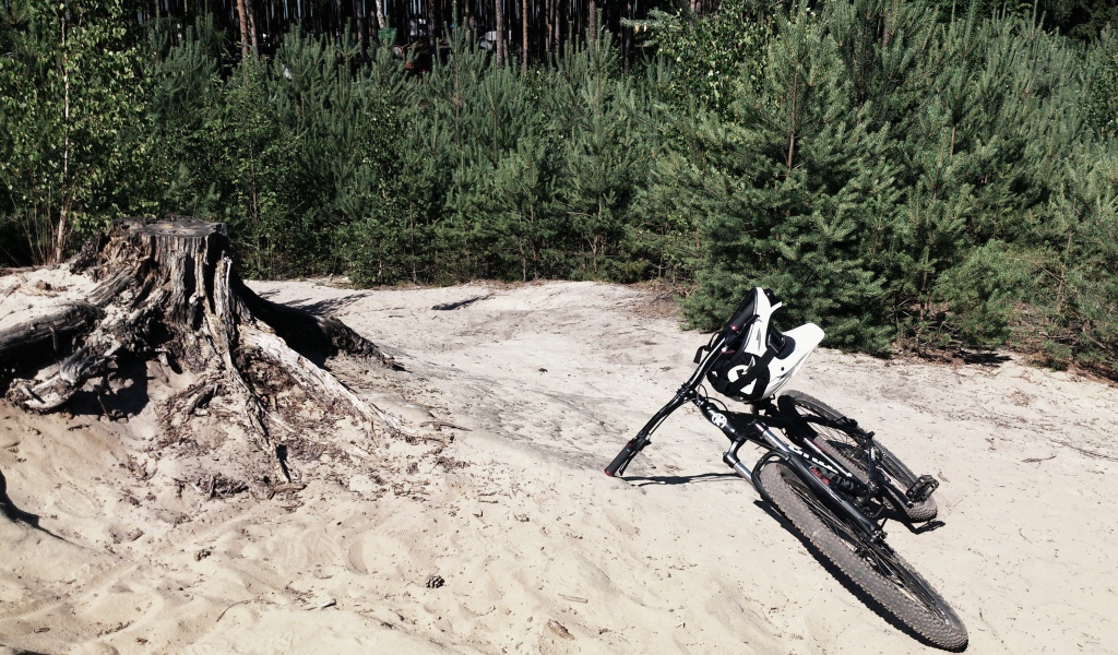 Велосипед у пенька среди леса